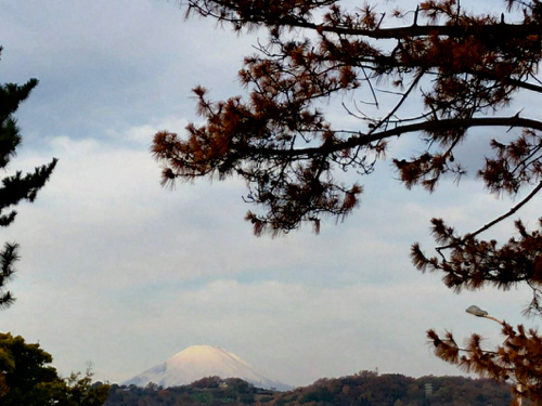(2) 朝の富士山.jpg