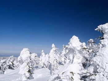 樹氷 (1)ー中山の展望台.jpg